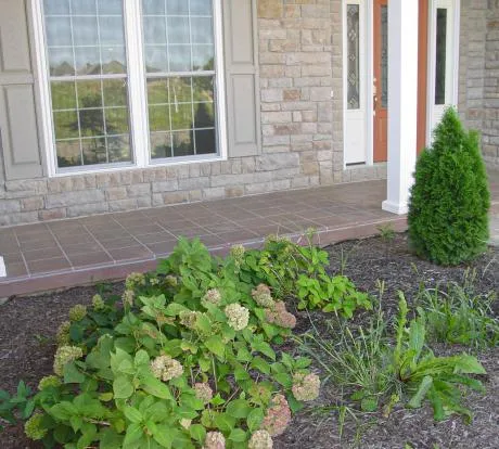 1772114724-ccd 936.webp